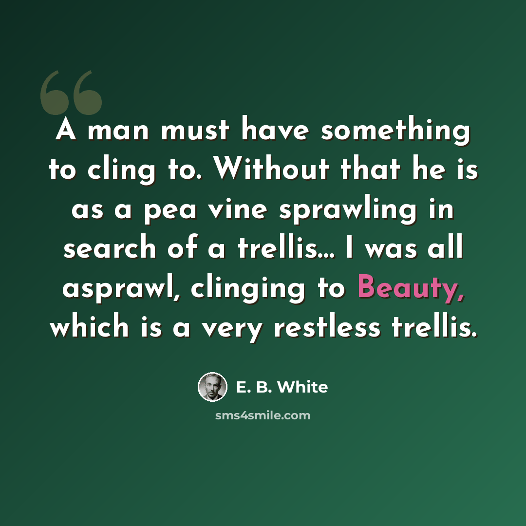 “A man must have something to cling to. Without that he is as a pea vine sprawling in search of a trellis… I was all asprawl, clinging to Beauty, which is a very restless trellis.” quote by E. B. White
