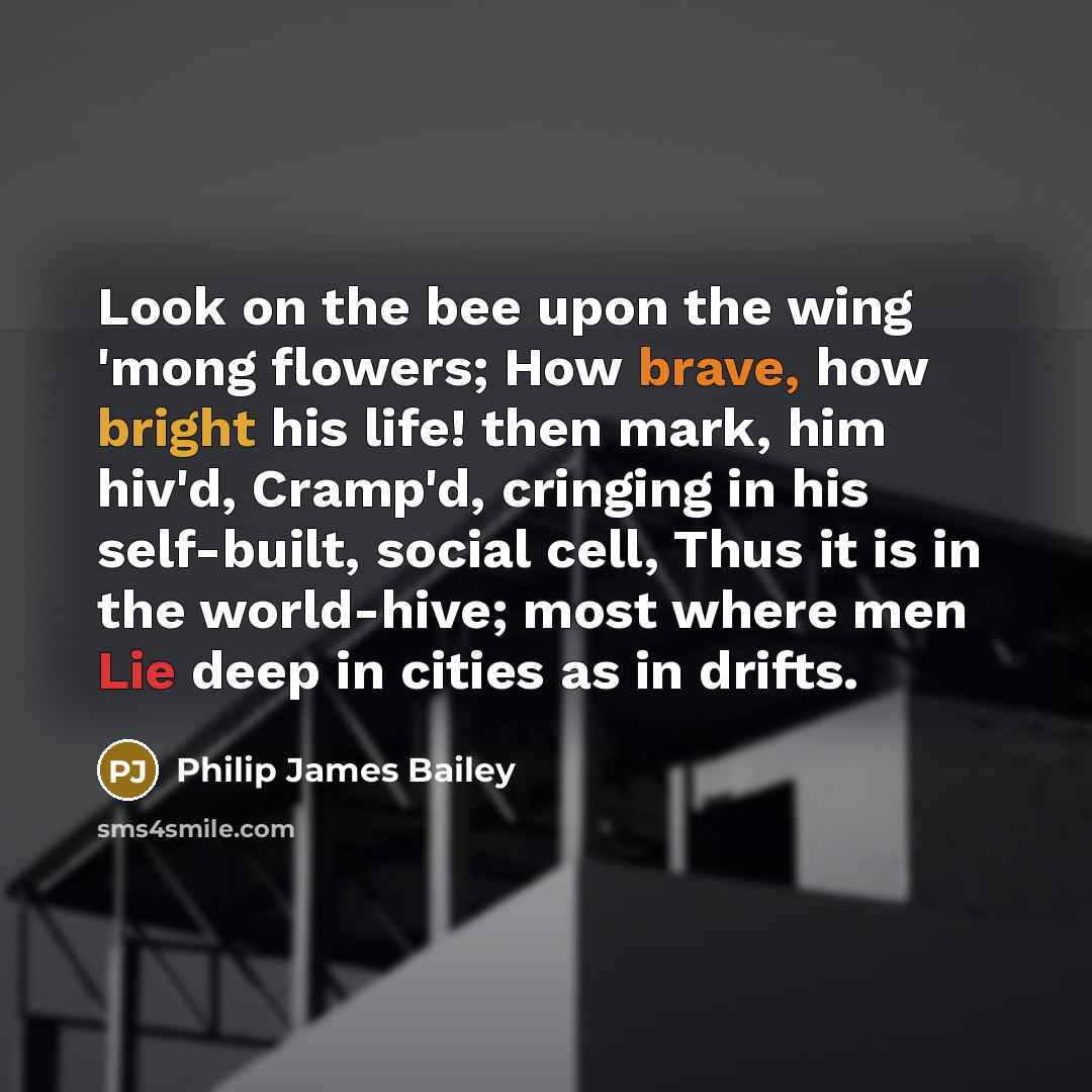 “Look on the bee upon the wing 'mong flowers; How brave, how bright his life! then mark, him hiv'd, Cramp'd, cringing in his self-built, social cell, Thus it is in the world-hive; most where men Lie deep in cities as in drifts.” quote by Philip James Bailey