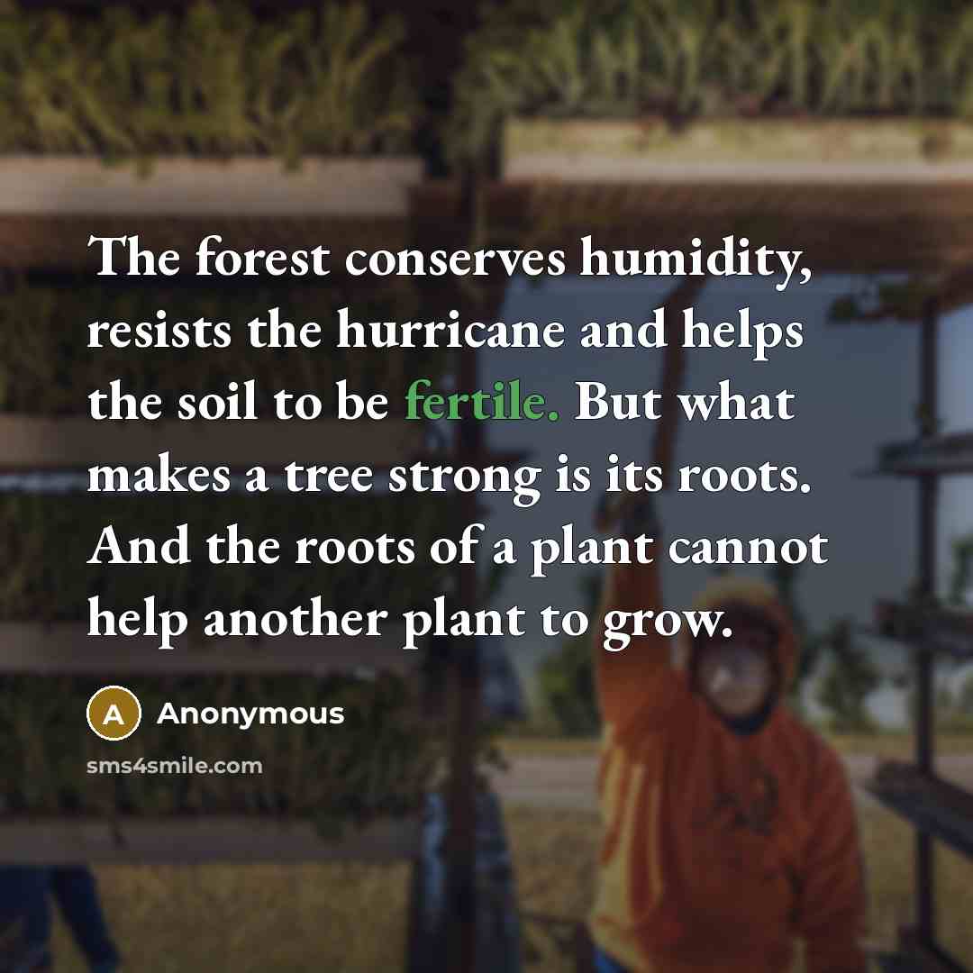 “The forest conserves humidity, resists the hurricane and helps the soil to be fertile. But what makes a tree strong is its roots. And the roots of a plant cannot help another plant to grow.” quote by Anonymous