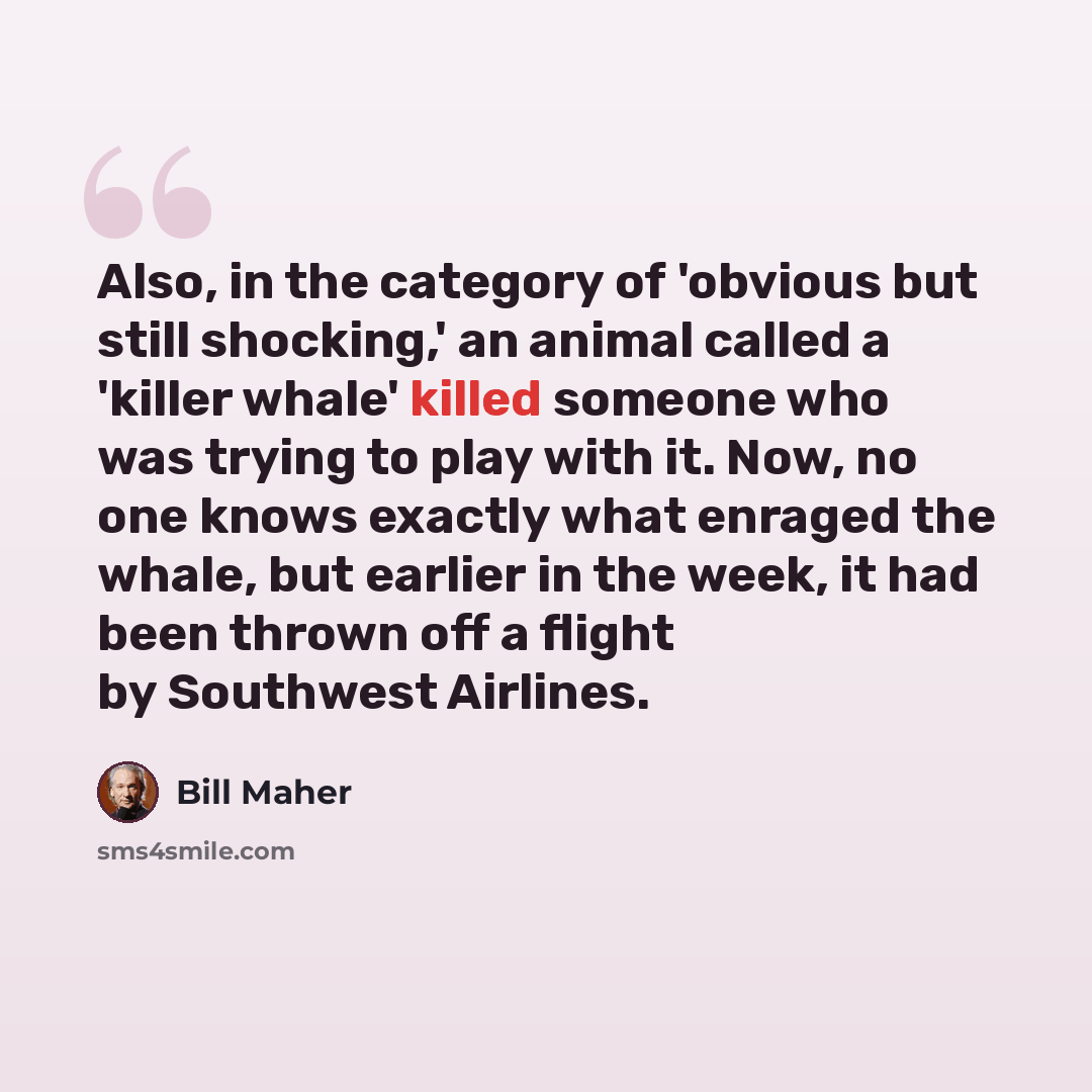 “Also, in the category of 'obvious but still shocking,' an animal called a 'killer whale' killed someone who was trying to play with it. Now, no one knows exactly what enraged the whale, but earlier in the week, it had been thrown off a flight by Southwest Airlines.” quote by Bill Maher