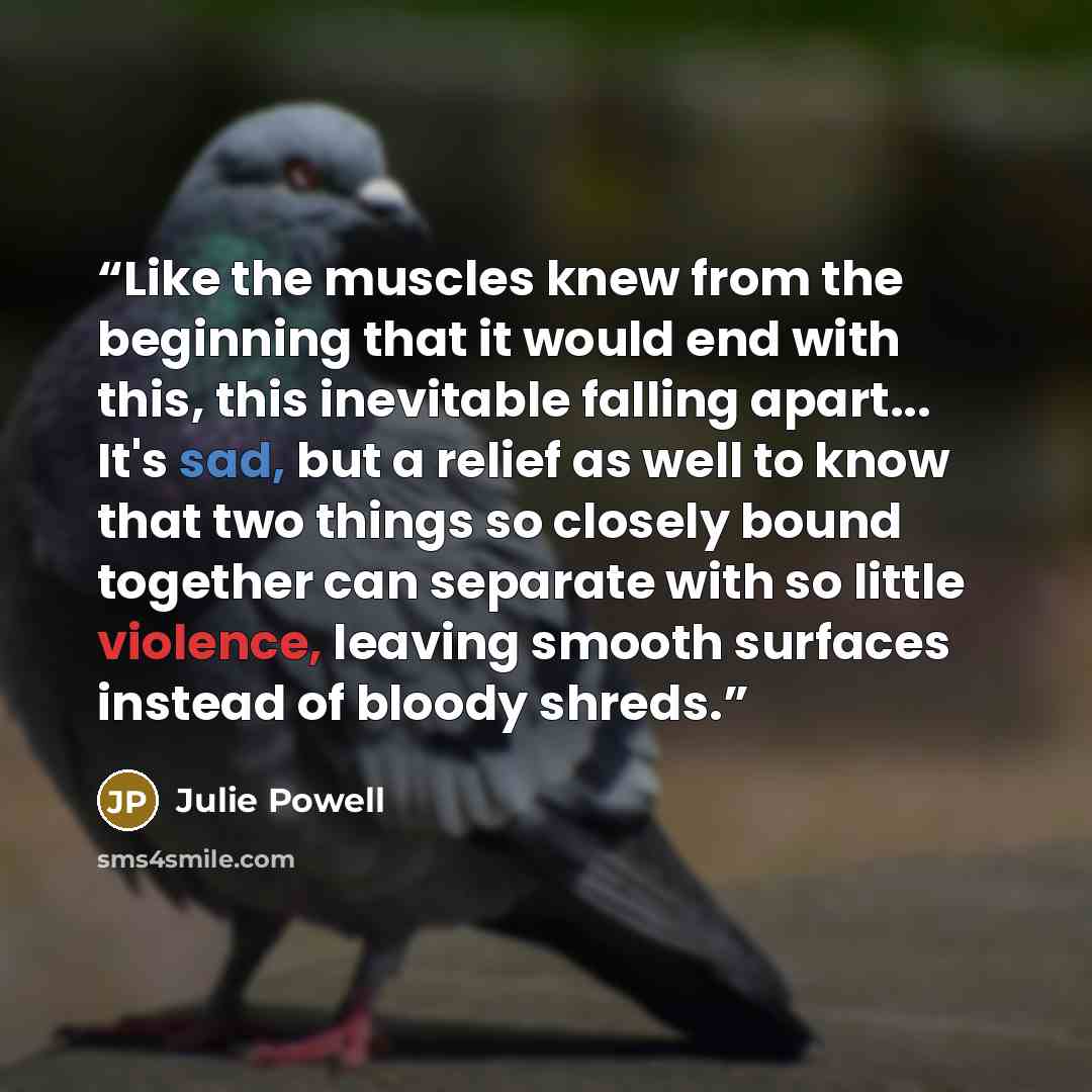 “Like the muscles knew from the beginning that it would end with this, this inevitable falling apart... It's sad, but a relief as well to know that two things so closely bound together can separate with so little violence, leaving smooth surfaces instead of bloody shreds.” quote by Julie Powell