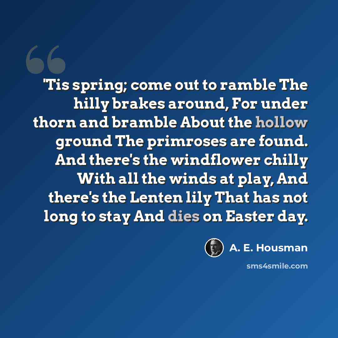 “'Tis spring; come out to ramble The hilly brakes around, For under thorn and bramble About the hollow ground The primroses are found. And there's the windflower chilly With all the winds at play, And there's the Lenten lily That has not long to stay And dies on Easter day.” quote by A. E. Housman