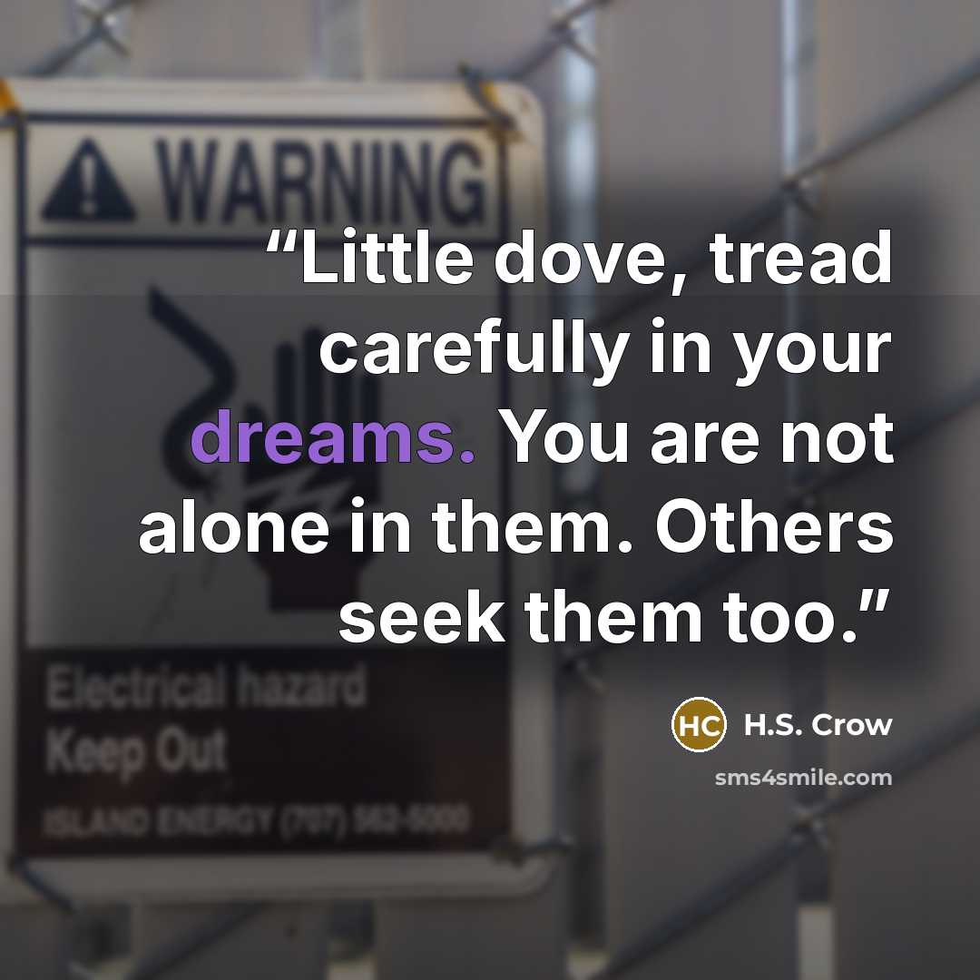 “Little dove, tread carefully in your dreams. You are not alone in them. Others seek them too.” quote by H.S. Crow