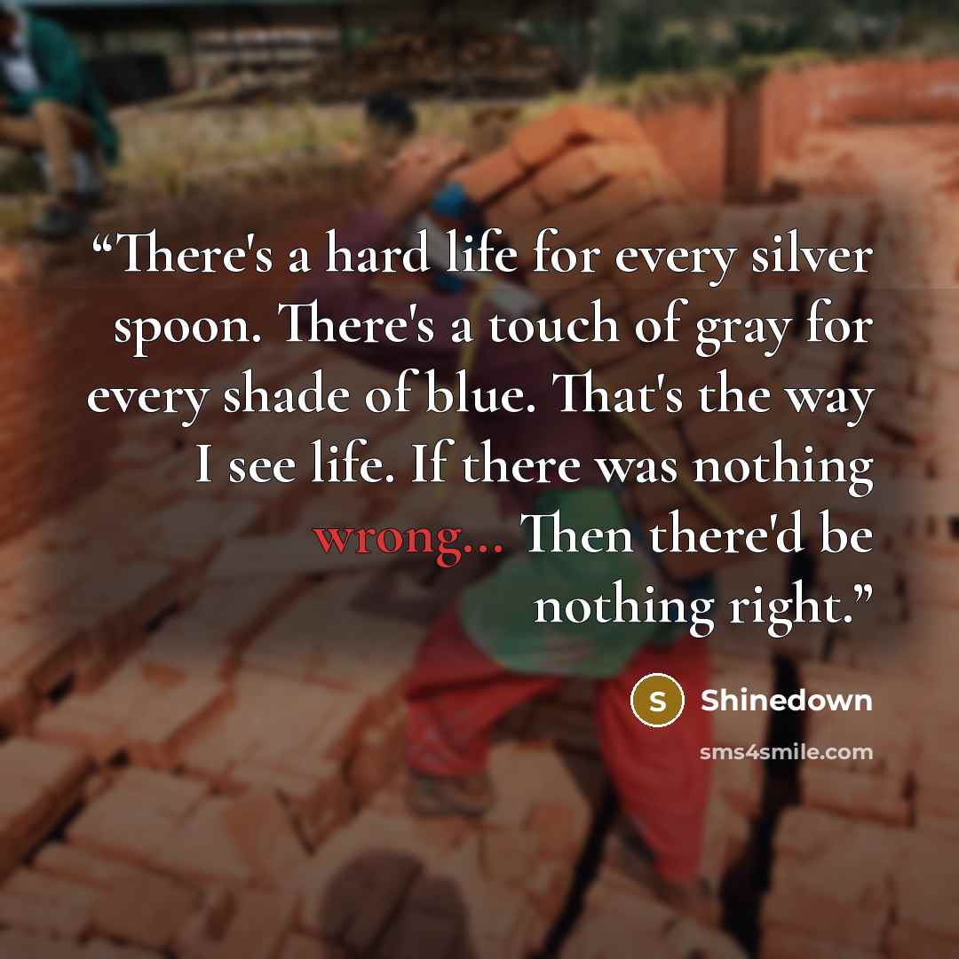 “There's a hard life for every silver spoon. There's a touch of gray for every shade of blue. That's the way I see life. If there was nothing wrong... Then there'd be nothing right.” quote by Shinedown