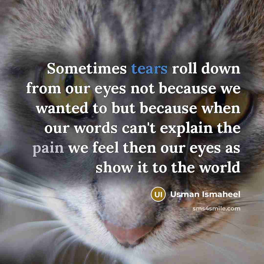 “Sometimes tears roll down from our eyes not because we wanted to but because when our words can't explain the pain we feel then our eyes as show it to the world” quote by Usman Ismaheel