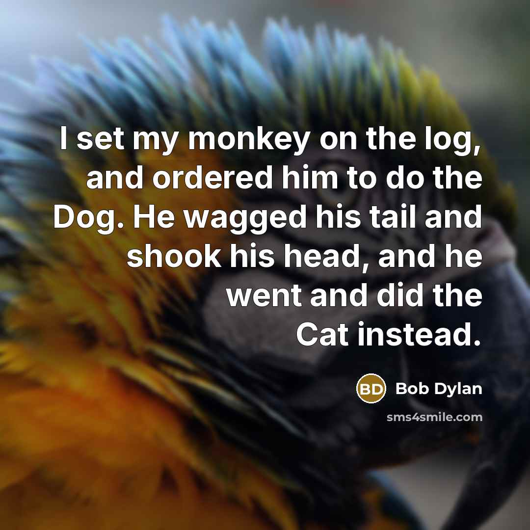 “I set my monkey on the log, and ordered him to do the Dog. He wagged his tail and shook his head, and he went and did the Cat instead.” quote by Bob Dylan
