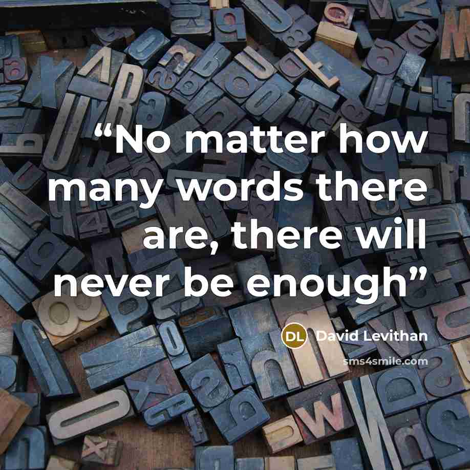 “No matter how many words there are, there will never be enough” quote by David Levithan