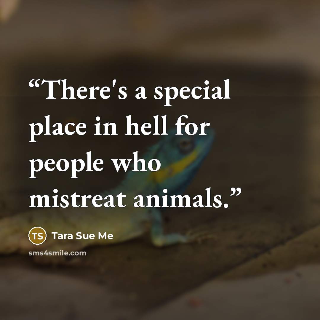 “There's a special place in hell for people who mistreat animals.” quote by Tara Sue Me