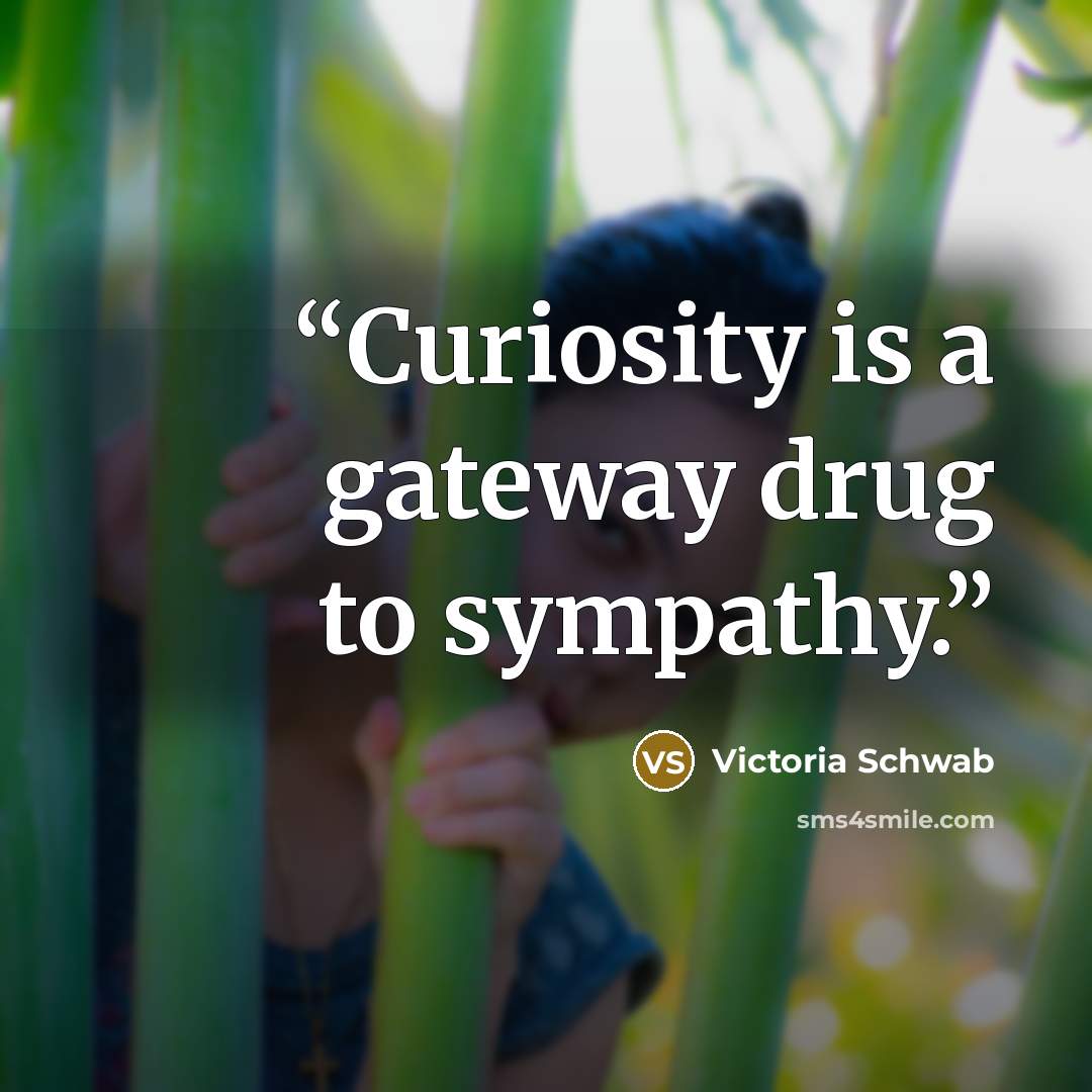 “Curiosity is a gateway drug to sympathy.” quote by Victoria Schwab