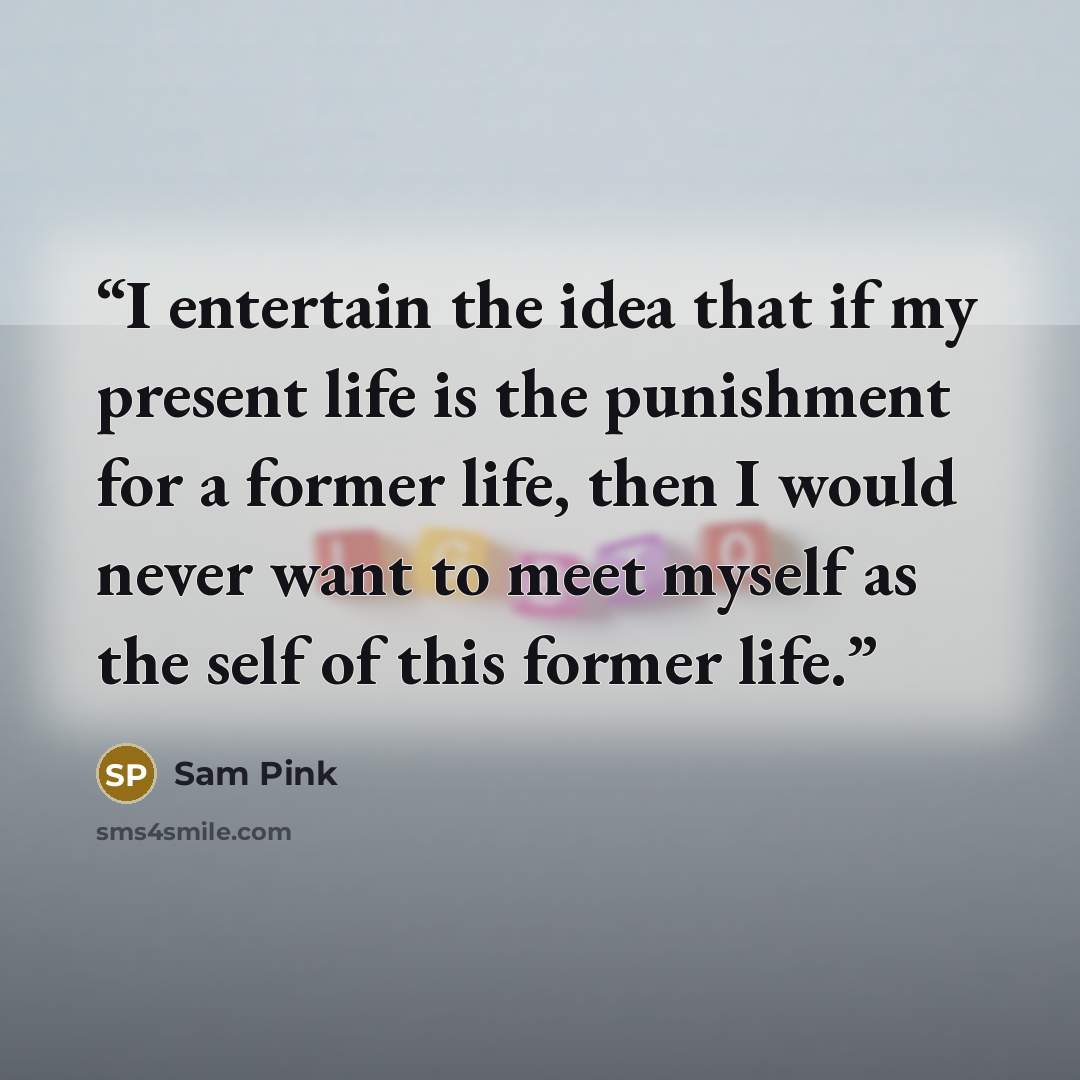 “I entertain the idea that if my present life is the punishment for a former life, then I would never want to meet myself as the self of this former life.” quote by Sam Pink