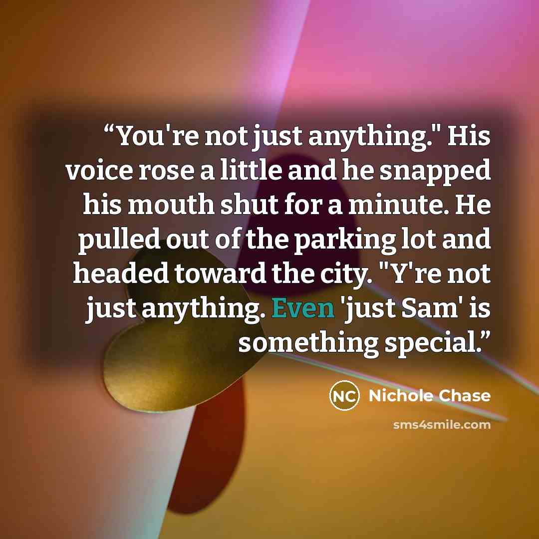 “You're not just anything." His voice rose a little and he snapped his mouth shut for a minute. He pulled out of the parking lot and headed toward the city. "Y're not just anything. Even 'just Sam' is something special.” quote by Nichole Chase
