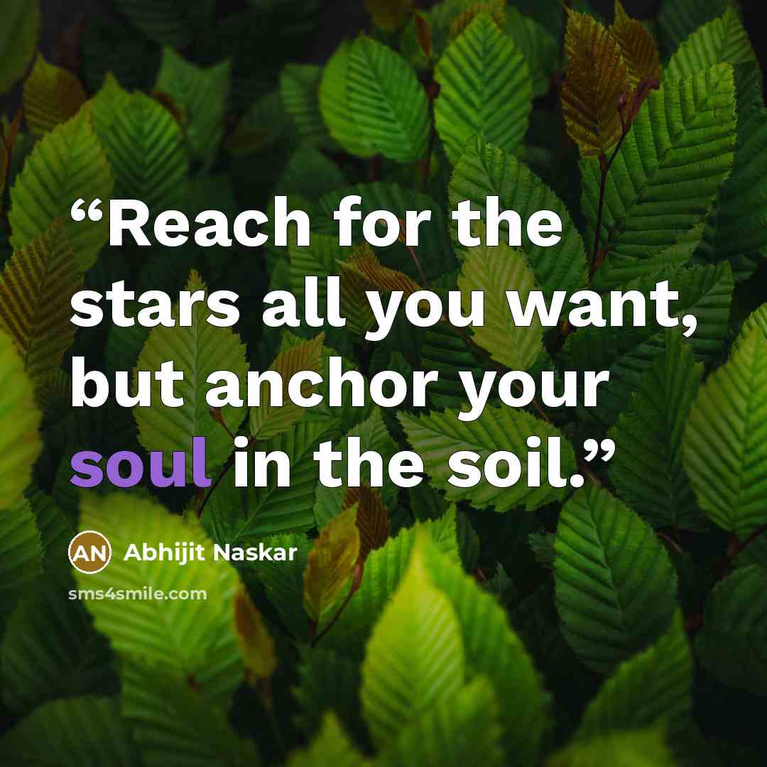 “Reach for the stars all you want, but anchor your soul in the soil.” quote by Abhijit Naskar