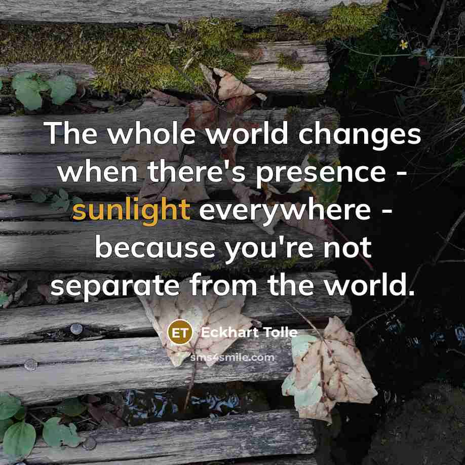 “The whole world changes when there's presence - sunlight everywhere - because you're not separate from the world.” quote by Eckhart Tolle