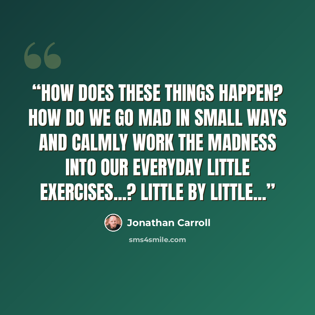 “How does these things happen? How do we go mad in small ways and calmly work the madness into our everyday little exercises...? Little by little...” quote by Jonathan Carroll