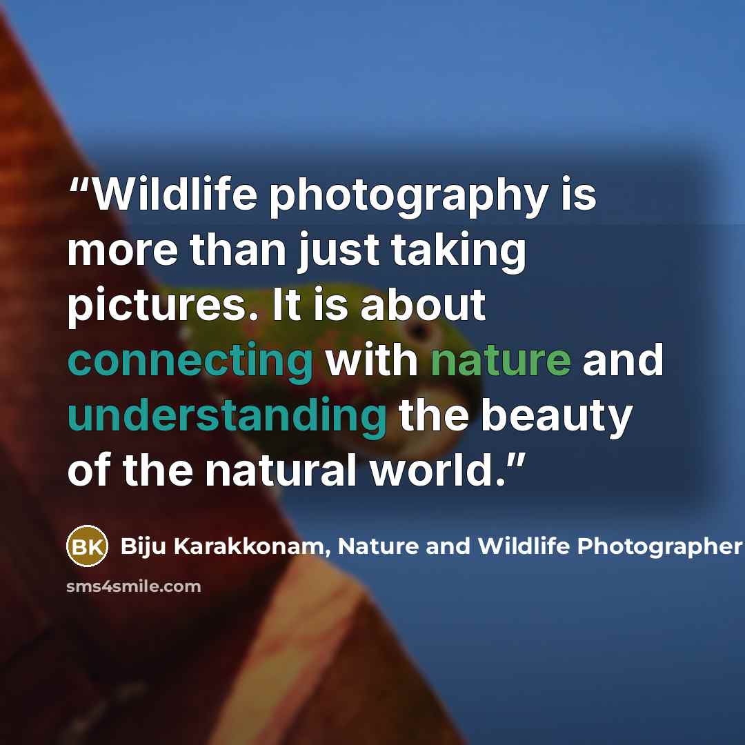 “Wildlife photography is more than just taking pictures. It is about connecting with nature and understanding the beauty of the natural world.” quote by Biju Karakkonam, Nature and Wildlife Photographer