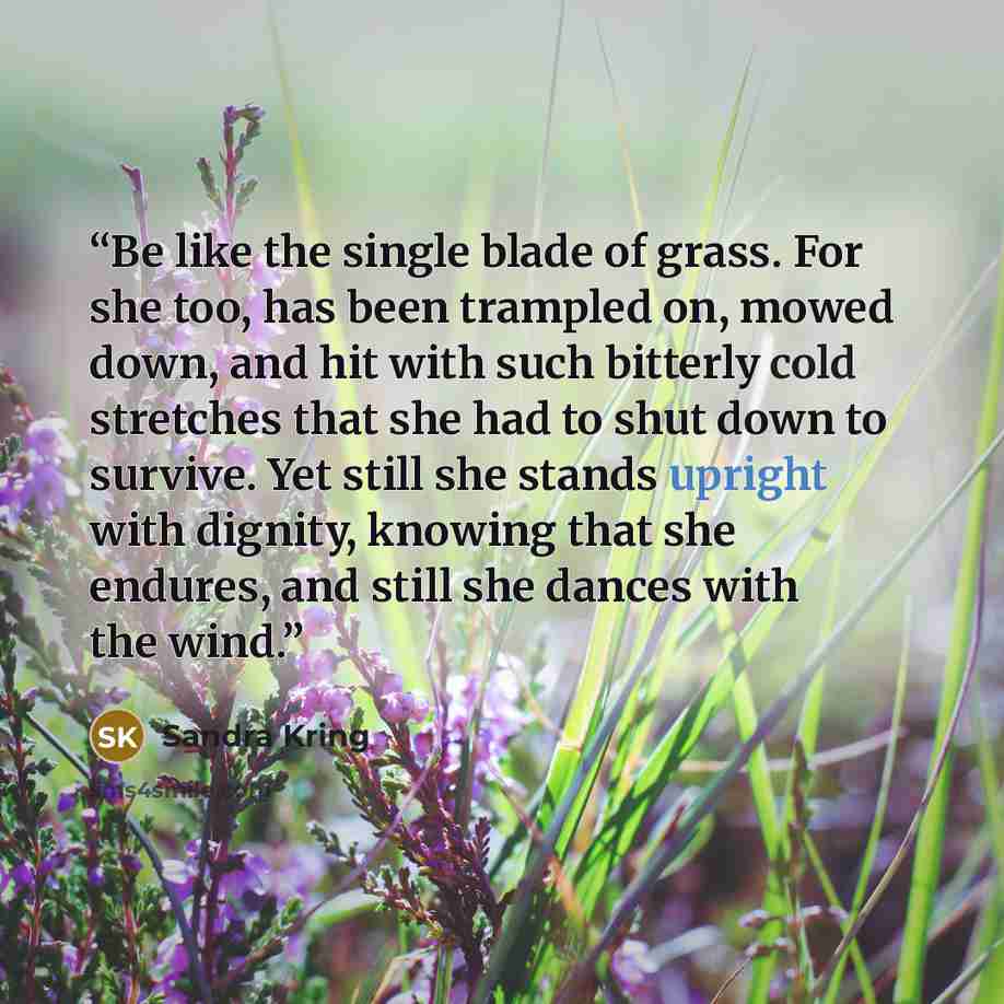 “Be like the single blade of grass. For she too, has been trampled on, mowed down, and hit with such bitterly cold stretches that she had to shut down to survive. Yet still she stands upright with dignity, knowing that she endures, and still she dances with the wind.” quote by Sandra Kring