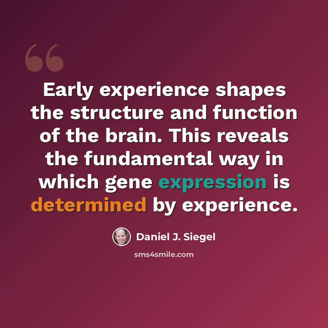 “Early experience shapes the structure and function of the brain. This reveals the fundamental way in which gene expression is determined by experience.” quote by Daniel J. Siegel