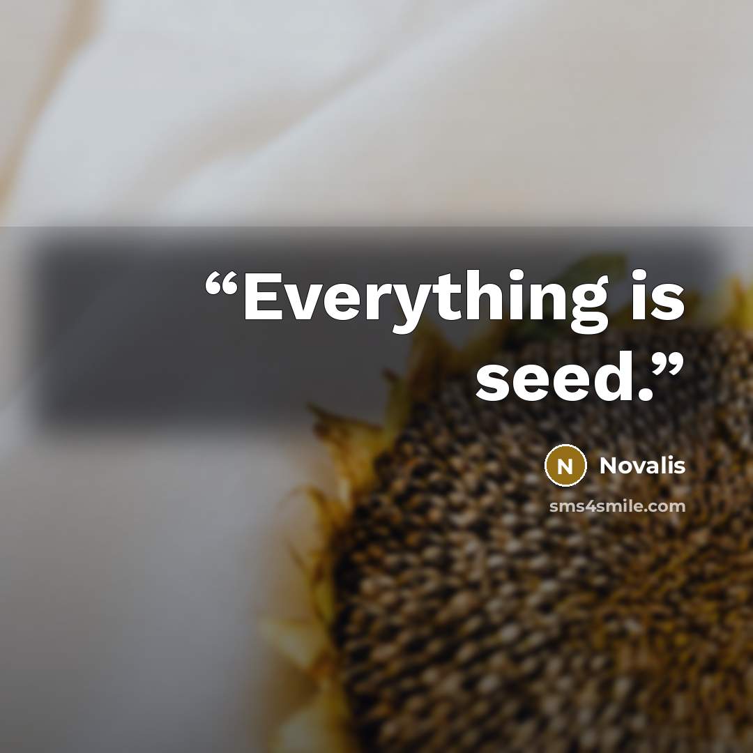 “Everything is seed.” quote by Novalis