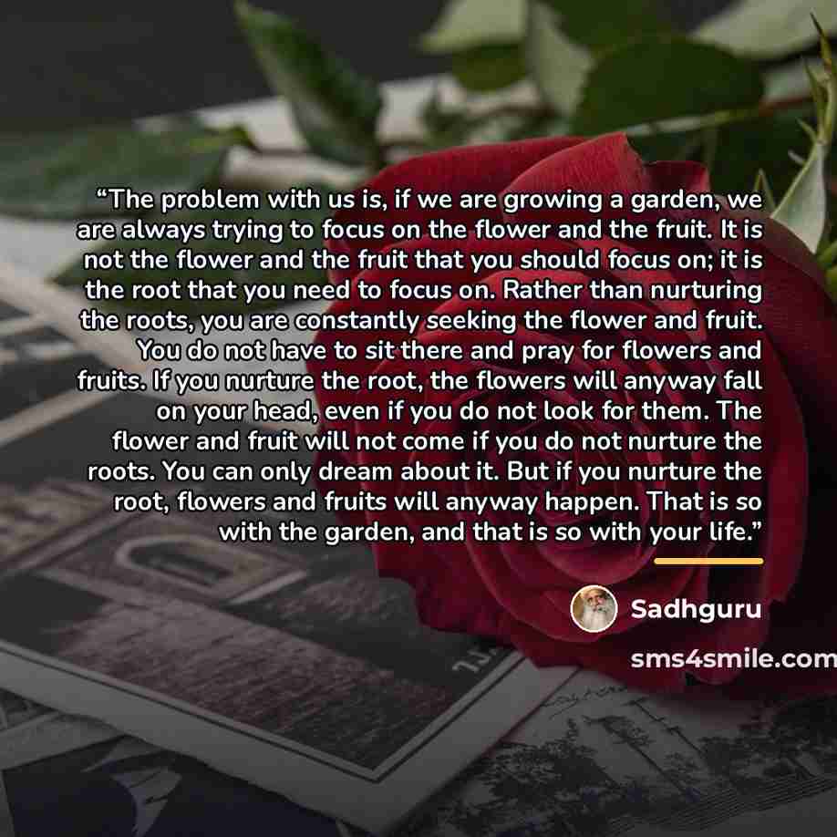 “The problem with us is, if we are growing a garden, we are always trying to focus on the flower and the fruit. It is not the flower and the fruit that you should focus on; it is the root that you need to focus on. Rather than nurturing the roots, you are constantly seeking the flower and fruit…” quote by Sadhguru
