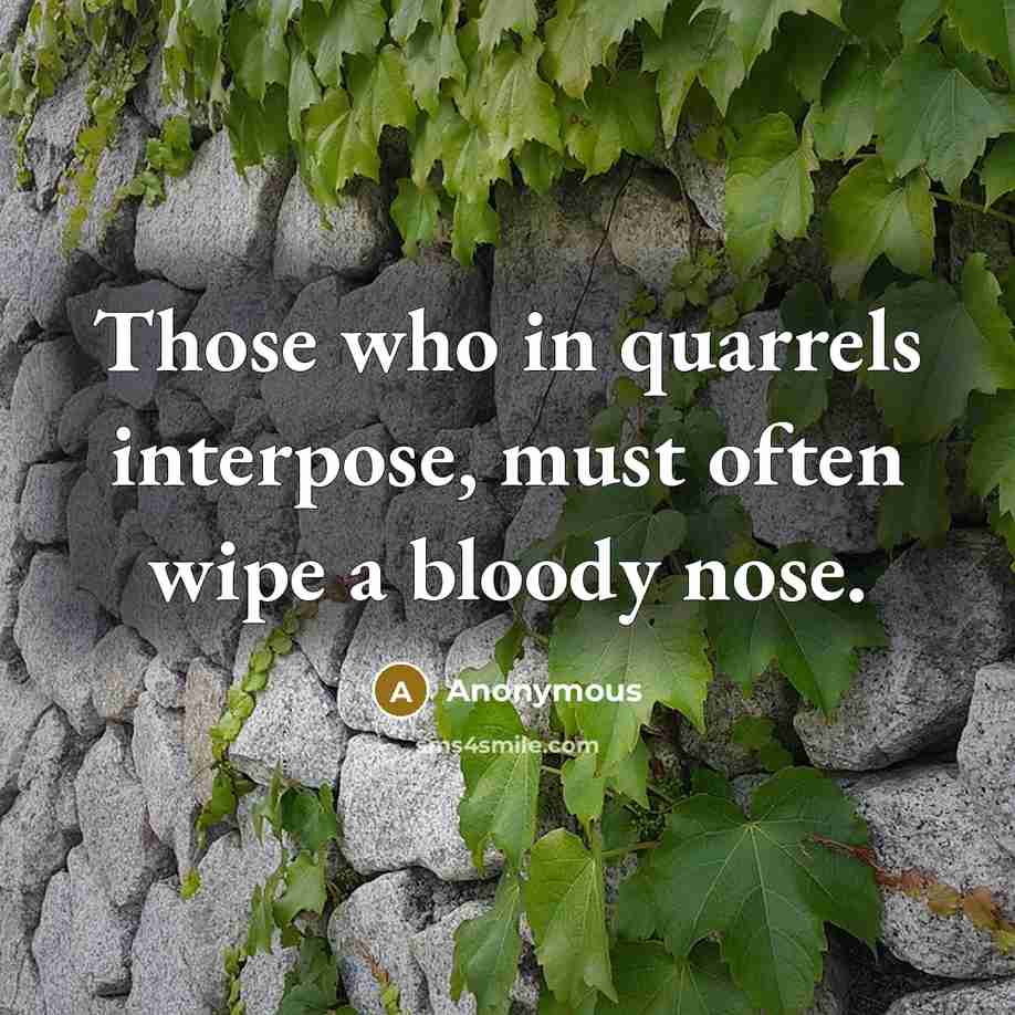 “Those who in quarrels interpose, must often wipe a bloody nose.” quote by Anonymous