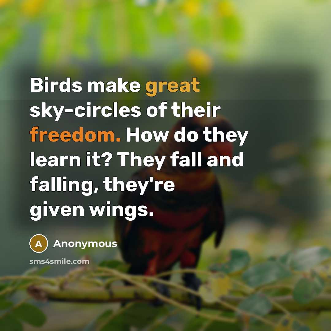 “Birds make great sky-circles of their freedom. How do they learn it? They fall and falling, they're given wings.” quote by Anonymous