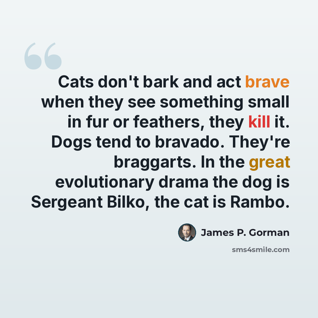 “Cats don't bark and act brave when they see something small in fur or feathers, they kill it. Dogs tend to bravado. They're braggarts. In the great evolutionary drama the dog is Sergeant Bilko, the cat is Rambo.” quote by James P. Gorman