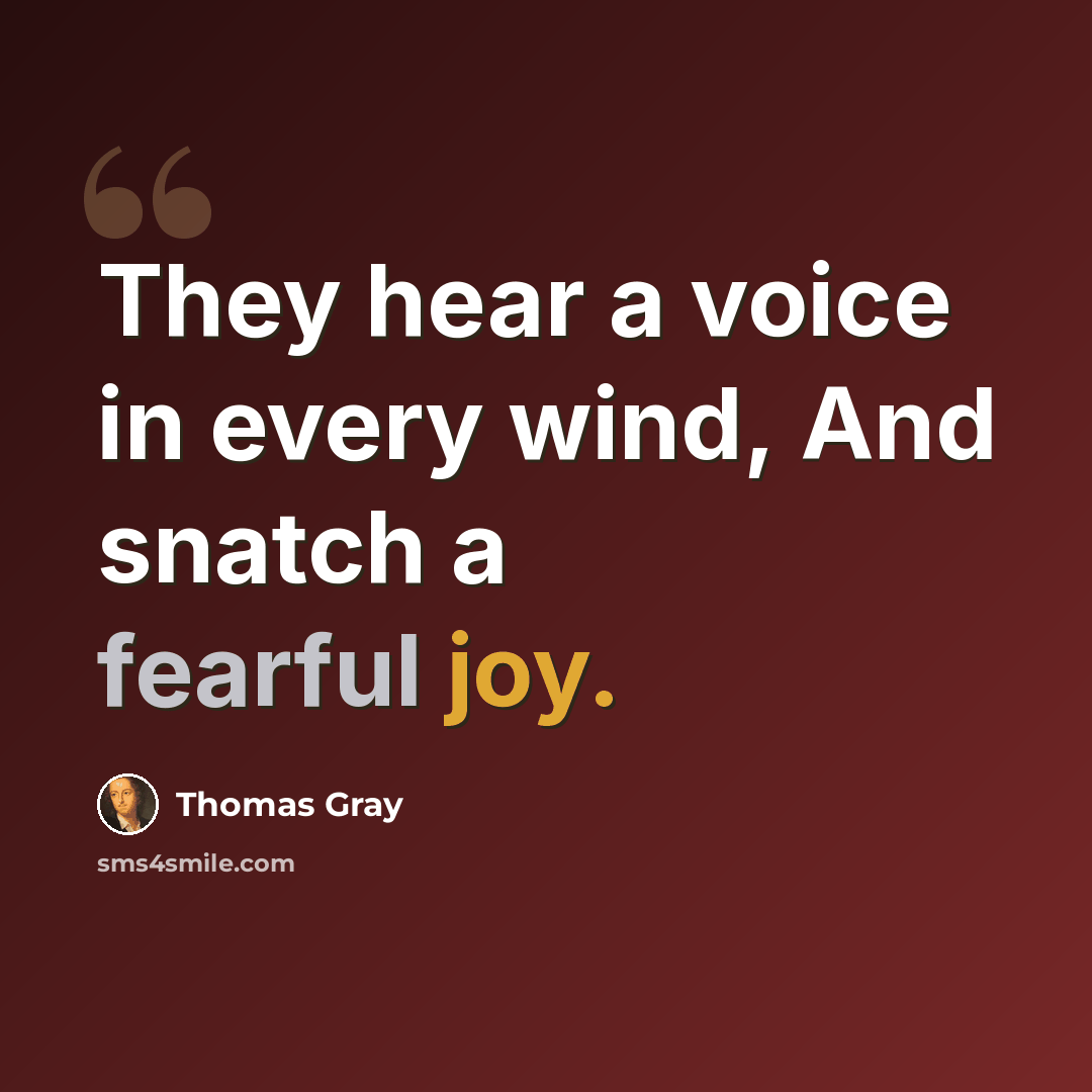 “They hear a voice in every wind, And snatch a fearful joy.” quote by Thomas Gray