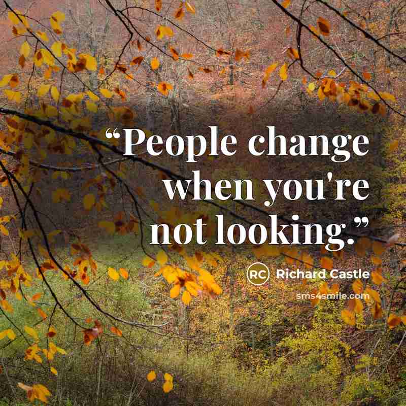 “People change when you're not looking.” quote by Richard Castle