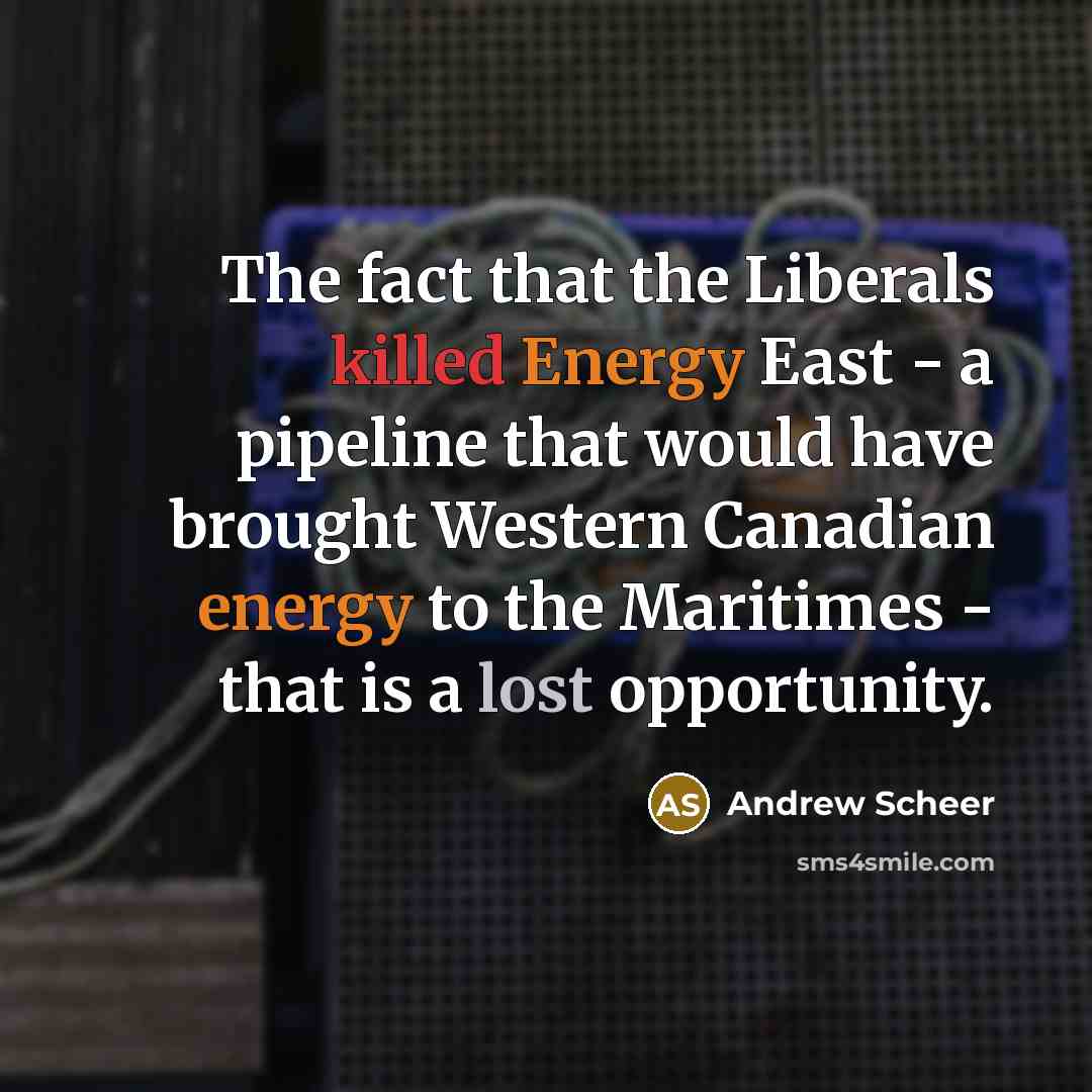 “The fact that the Liberals killed Energy East - a pipeline that would have brought Western Canadian energy to the Maritimes - that is a lost opportunity.” quote by Andrew Scheer