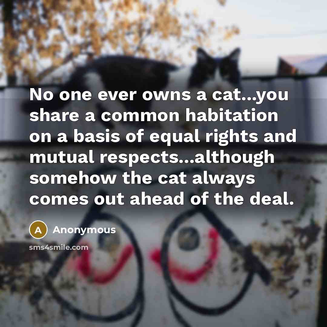 “No one ever owns a cat...you share a common habitation on a basis of equal rights and mutual respects...although somehow the cat always comes out ahead of the deal.” quote by Anonymous