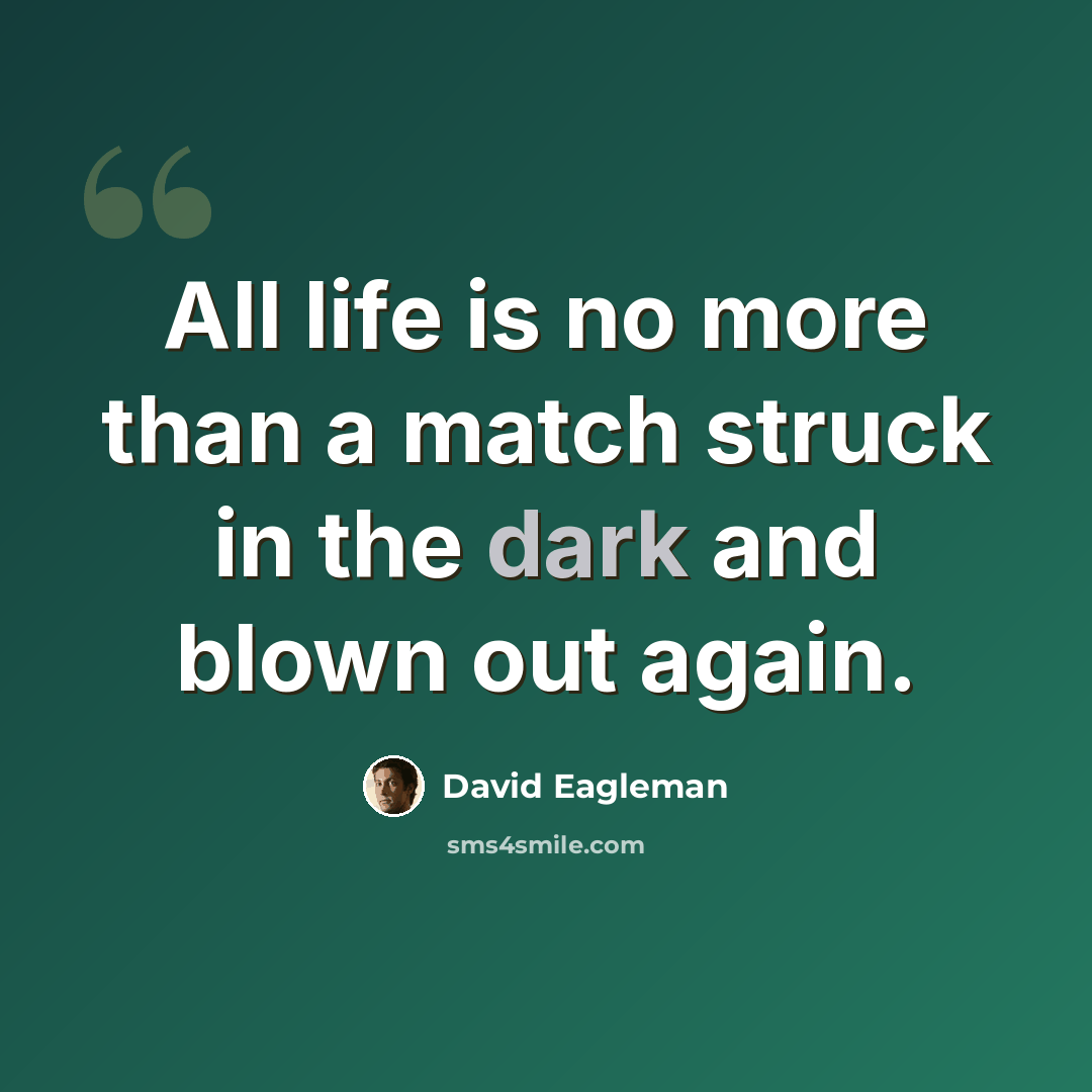 “All life is no more than a match struck in the dark and blown out again.” quote by David Eagleman
