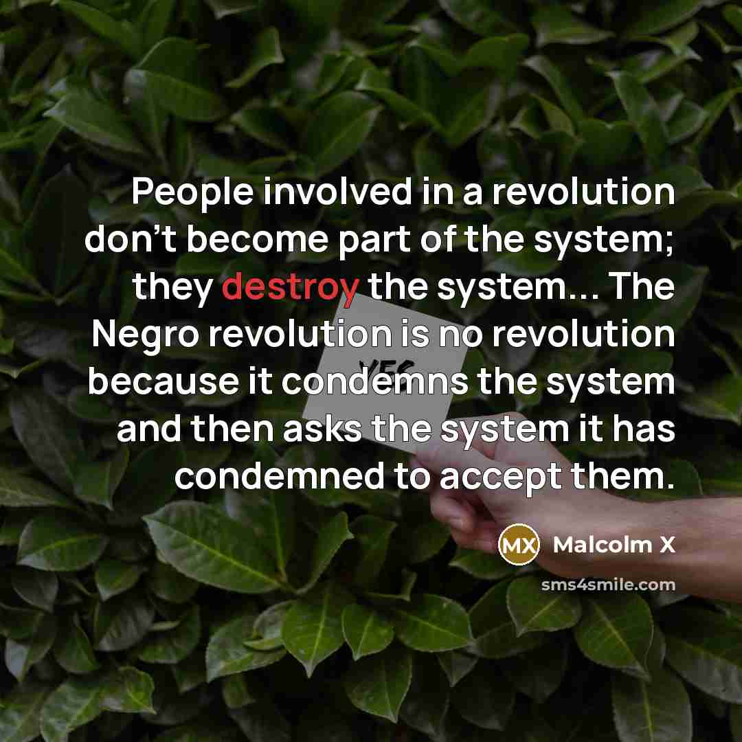 “People involved in a revolution don't become part of the system; they destroy the system... The Negro revolution is no revolution because it condemns the system and then asks the system it has condemned to accept them.” quote by Malcolm X