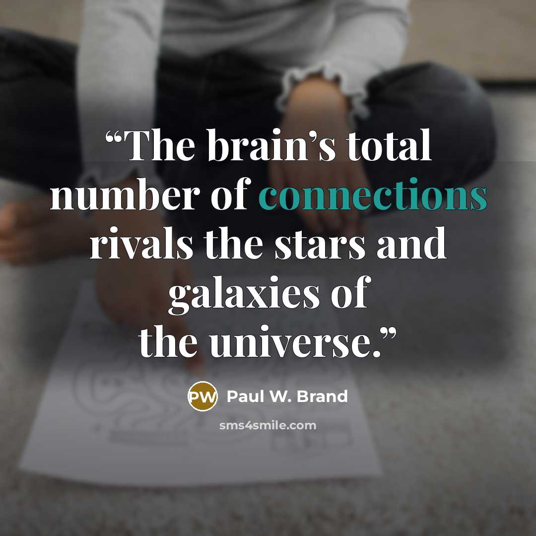 “The brain’s total number of connections rivals the stars and galaxies of the universe.” quote by Paul W. Brand