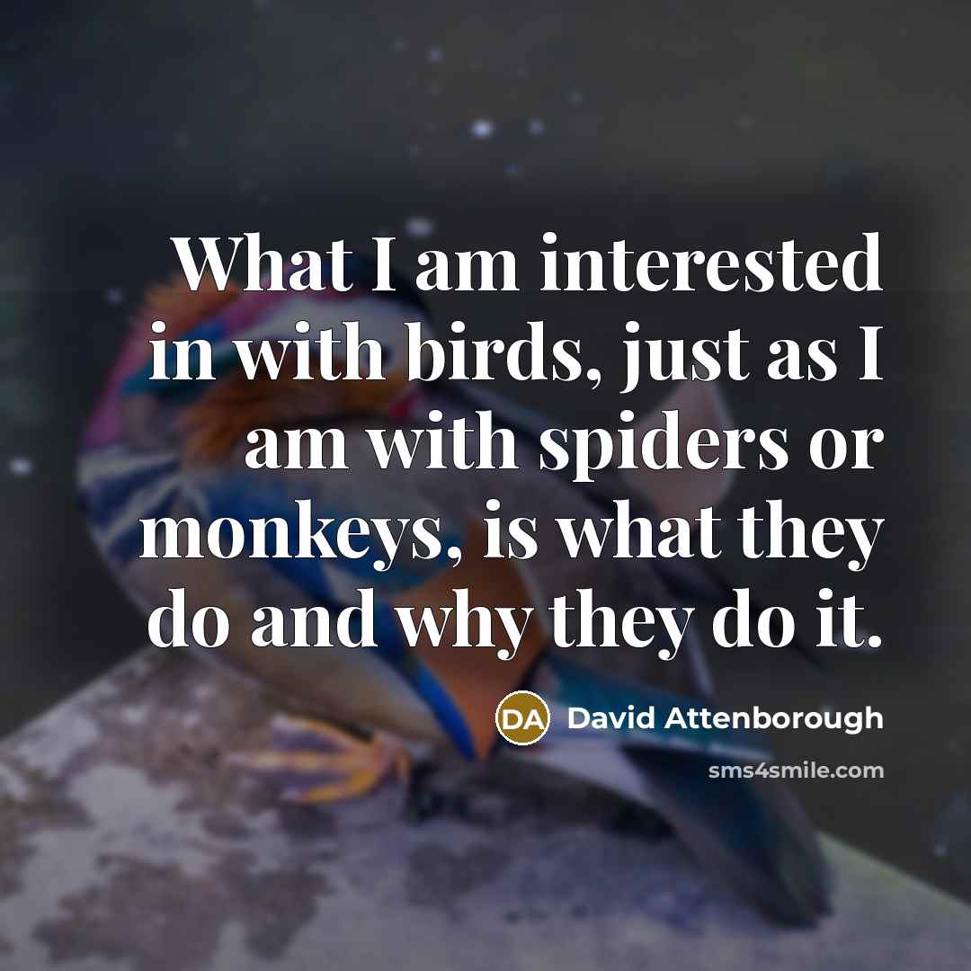 “What I am interested in with birds, just as I am with spiders or monkeys, is what they do and why they do it.” quote by David Attenborough