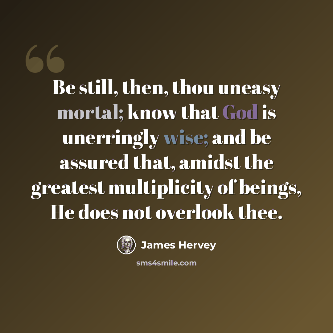 “Be still, then, thou uneasy mortal; know that God is unerringly wise; and be assured that, amidst the greatest multiplicity of beings, He does not overlook thee.” quote by James Hervey