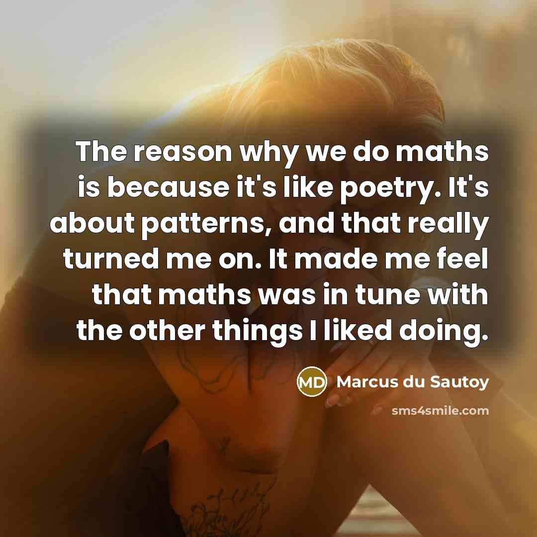 “The reason why we do maths is because it's like poetry. It's about patterns, and that really turned me on. It made me feel that maths was in tune with the other things I liked doing.” quote by Marcus du Sautoy