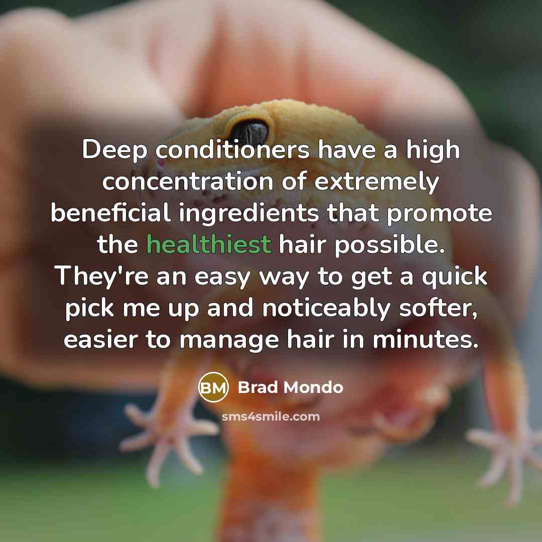 “Deep conditioners have a high concentration of extremely beneficial ingredients that promote the healthiest hair possible. They're an easy way to get a quick pick me up and noticeably softer, easier to manage hair in minutes.” quote by Brad Mondo