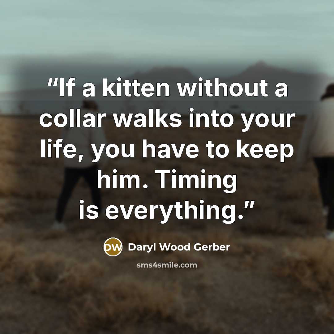 “If a kitten without a collar walks into your life, you have to keep him. Timing is everything.” quote by Daryl Wood Gerber