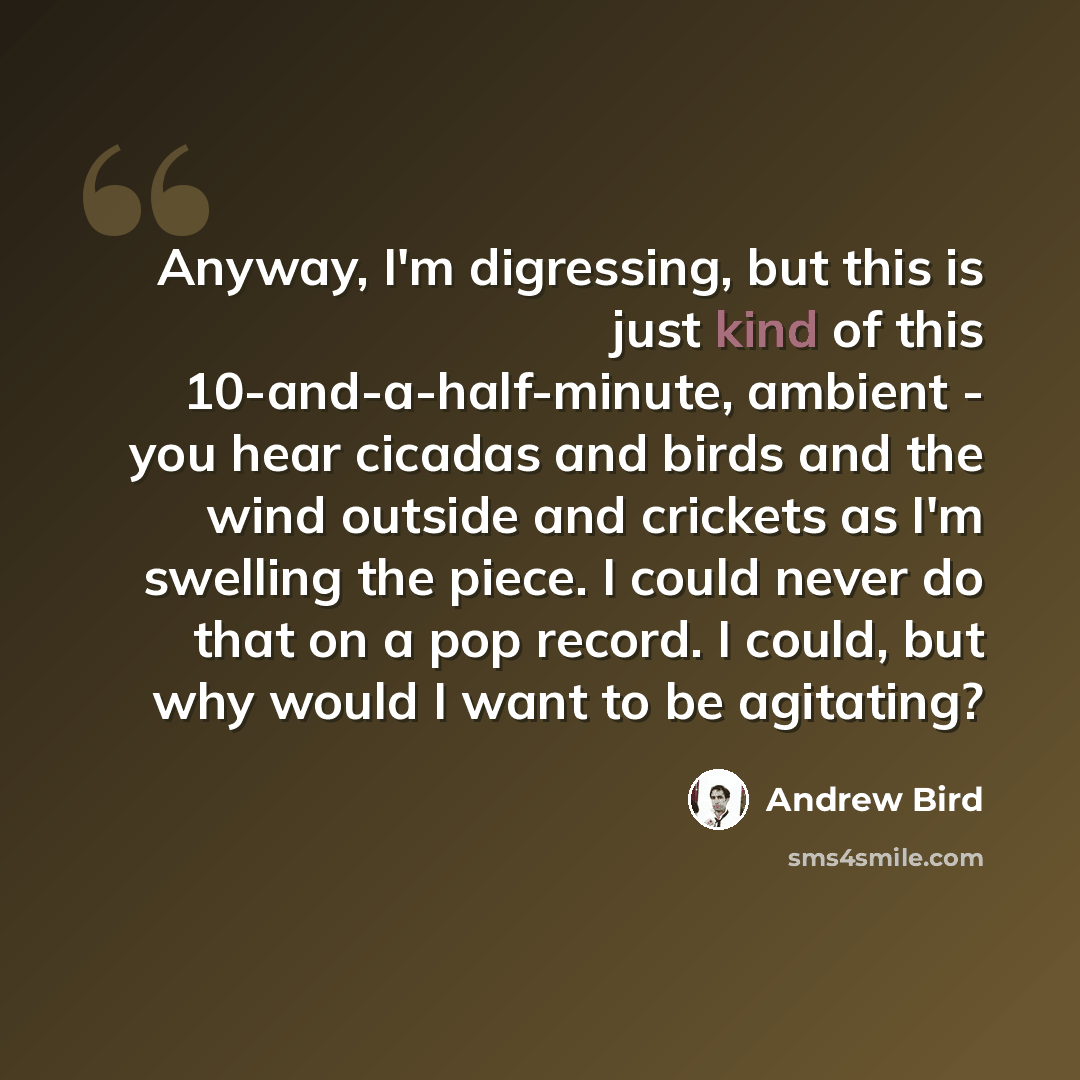 “Anyway, I'm digressing, but this is just kind of this 10-and-a-half-minute, ambient - you hear cicadas and birds and the wind outside and crickets as I'm swelling the piece. I could never do that on a pop record. I could, but why would I want to be agitating?” quote by Andrew Bird