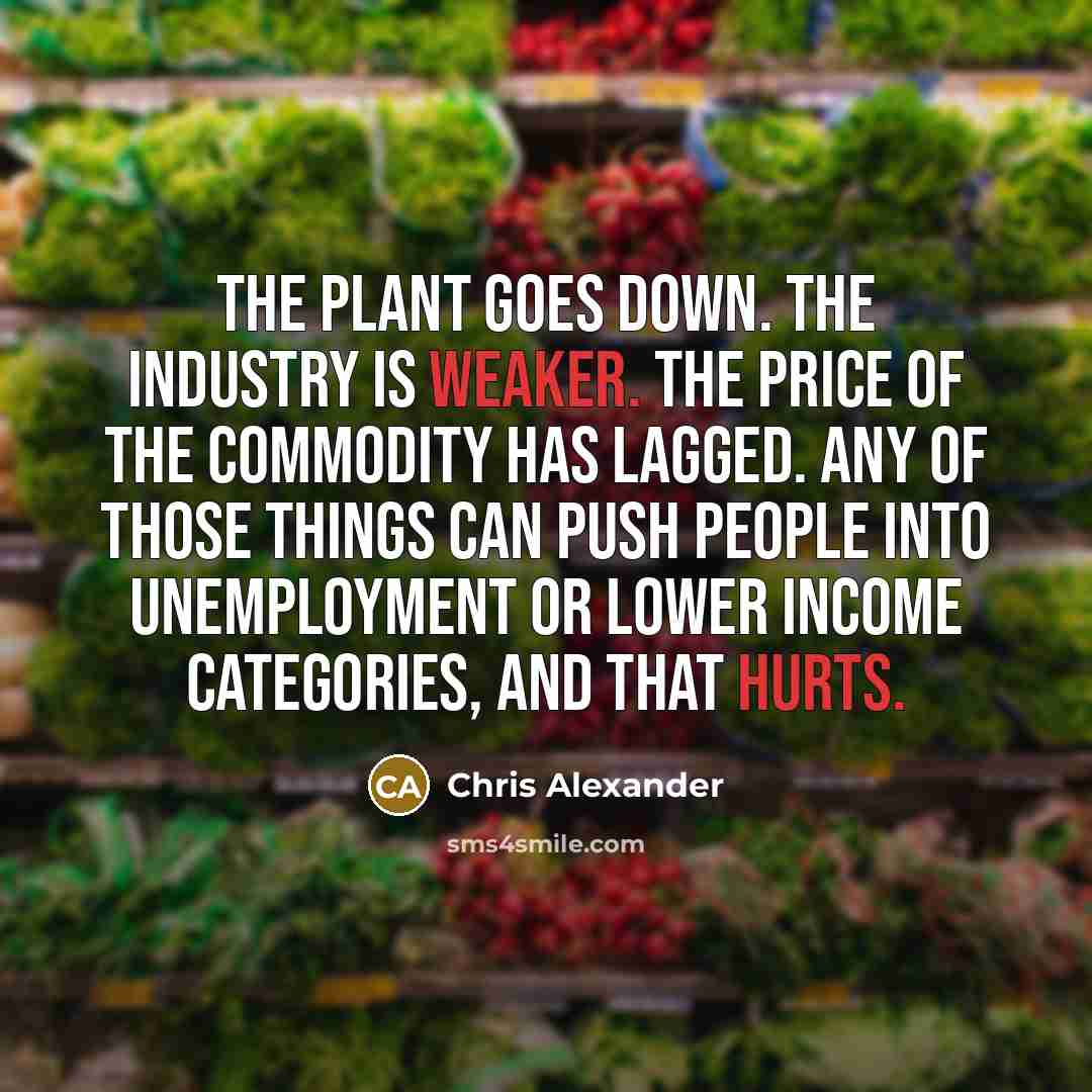 “The plant goes down. The industry is weaker. The price of the commodity has lagged. Any of those things can push people into unemployment or lower income categories, and that hurts.” quote by Chris Alexander