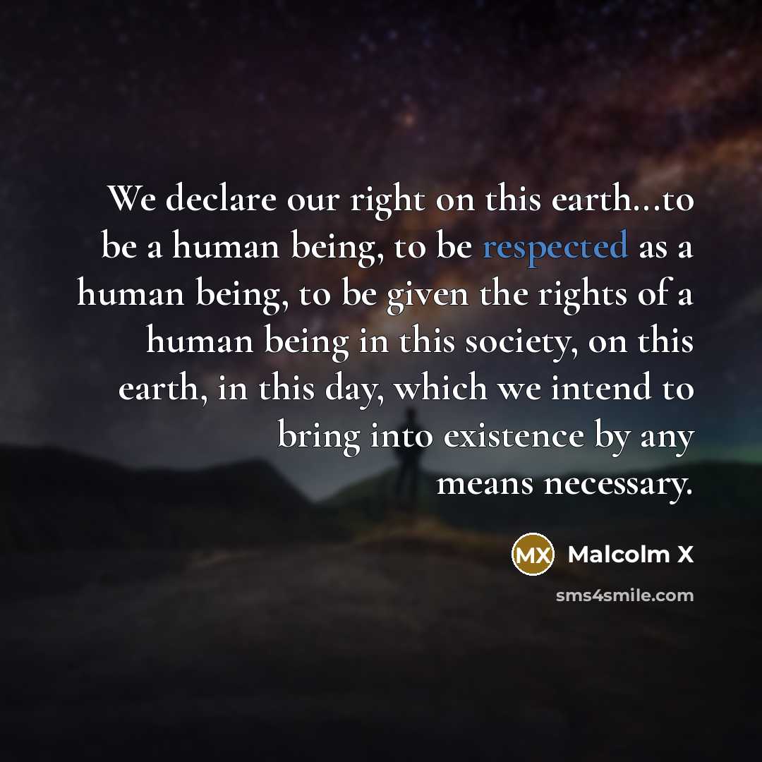 “We declare our right on this earth...to be a human being, to be respected as a human being, to be given the rights of a human being in this society, on this earth, in this day, which we intend to bring into existence by any means necessary.” quote by Malcolm X