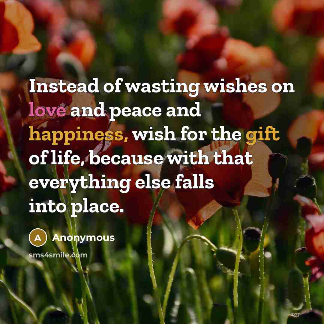 “Instead of wasting wishes on love and peace and happiness, wish for the gift of life, because with that everything else falls into place.” quote by Anonymous