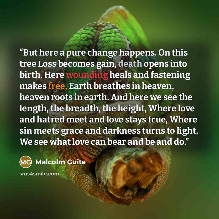 “But here a pure change happens. On this tree Loss becomes gain, death opens into birth. Here wounding heals and fastening makes free, Earth breathes in heaven, heaven roots in earth. And here we see the length, the breadth, the height, Where love and hatred meet and love stays true, Where sin…” quote by Malcolm Guite