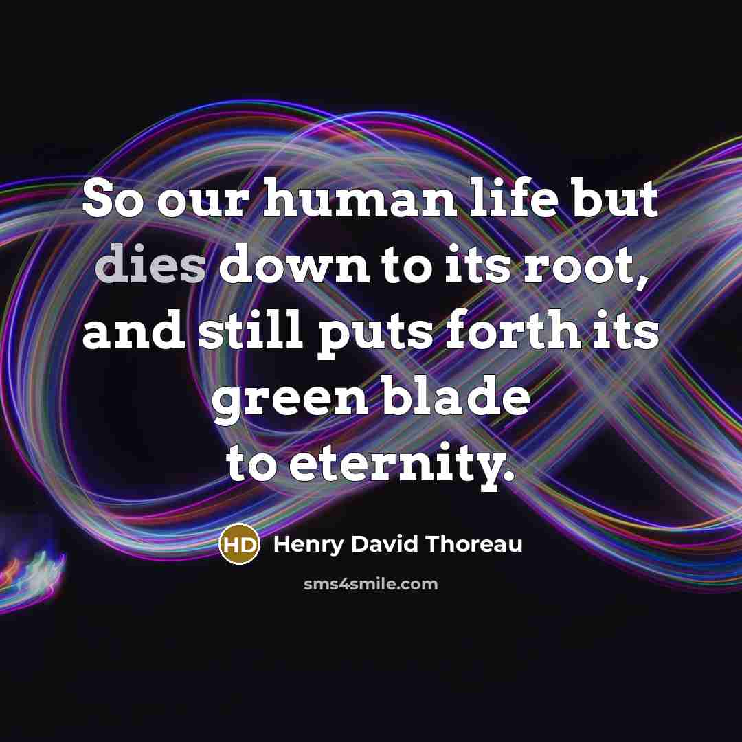 “So our human life but dies down to its root, and still puts forth its green blade to eternity.” quote by Henry David Thoreau