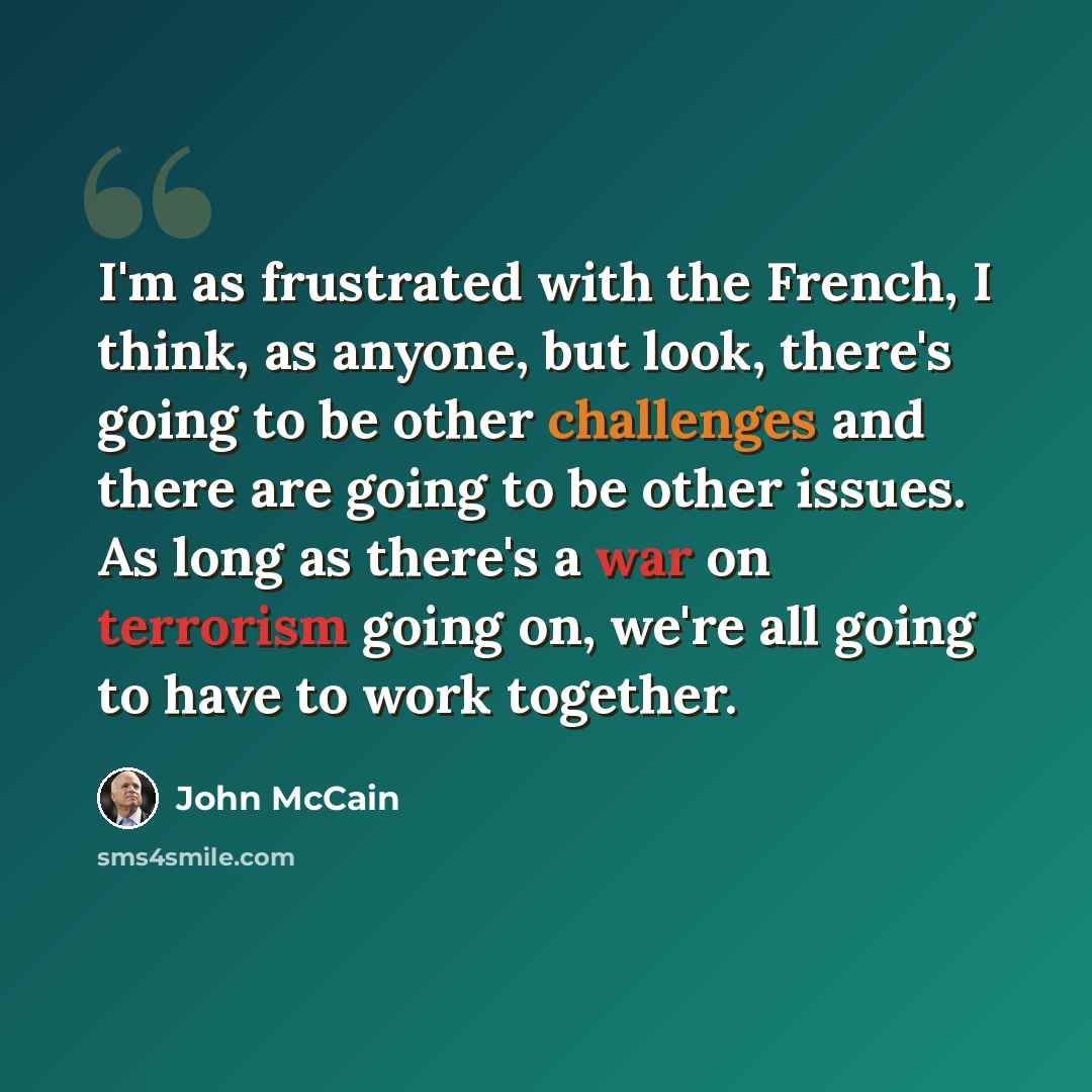 “I'm as frustrated with the French, I think, as anyone, but look, there's going to be other challenges and there are going to be other issues. As long as there's a war on terrorism going on, we're all going to have to work together.” quote by John McCain