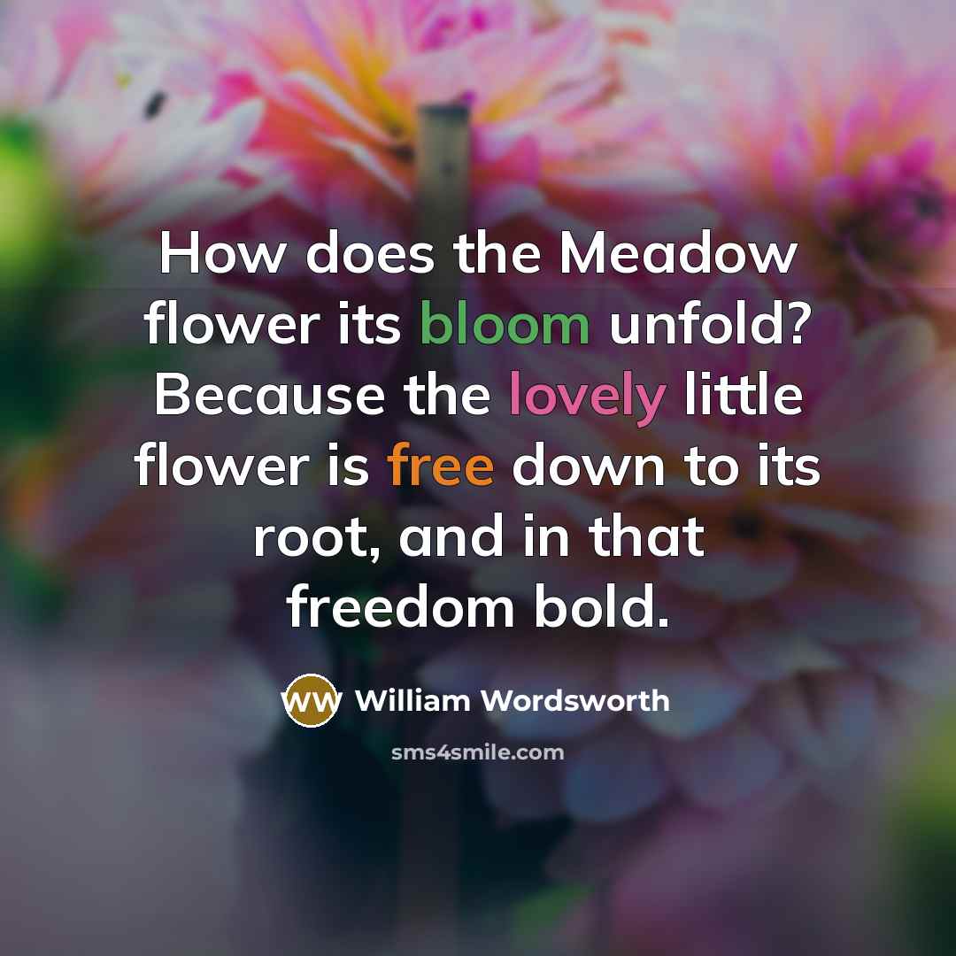 “How does the Meadow flower its bloom unfold? Because the lovely little flower is free down to its root, and in that freedom bold.” quote by William Wordsworth
