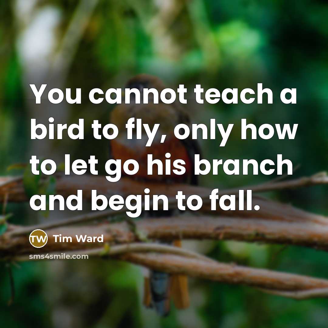 “You cannot teach a bird to fly, only how to let go his branch and begin to fall.” quote by Tim Ward