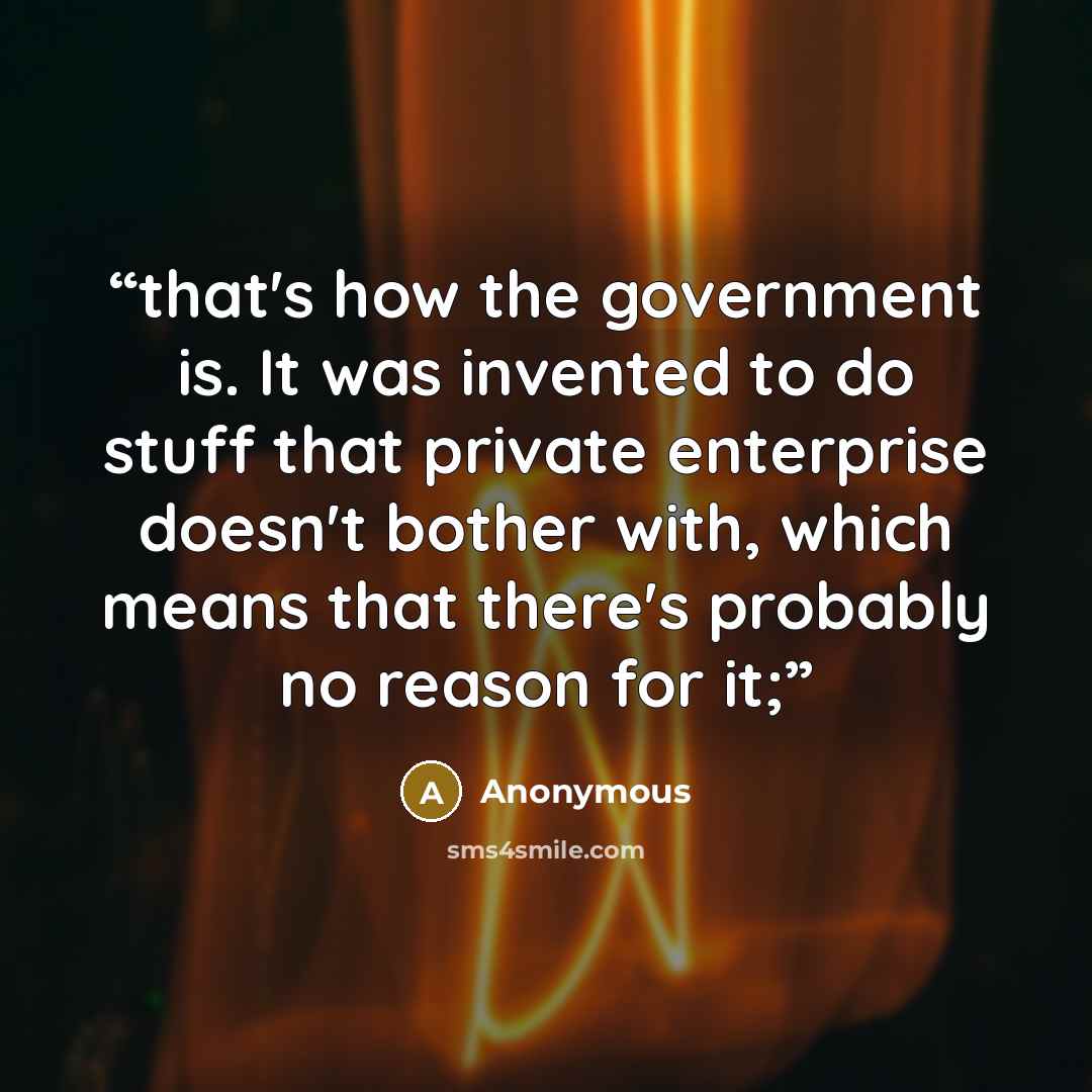 “that's how the government is. It was invented to do stuff that private enterprise doesn't bother with, which means that there's probably no reason for it;” quote by Anonymous