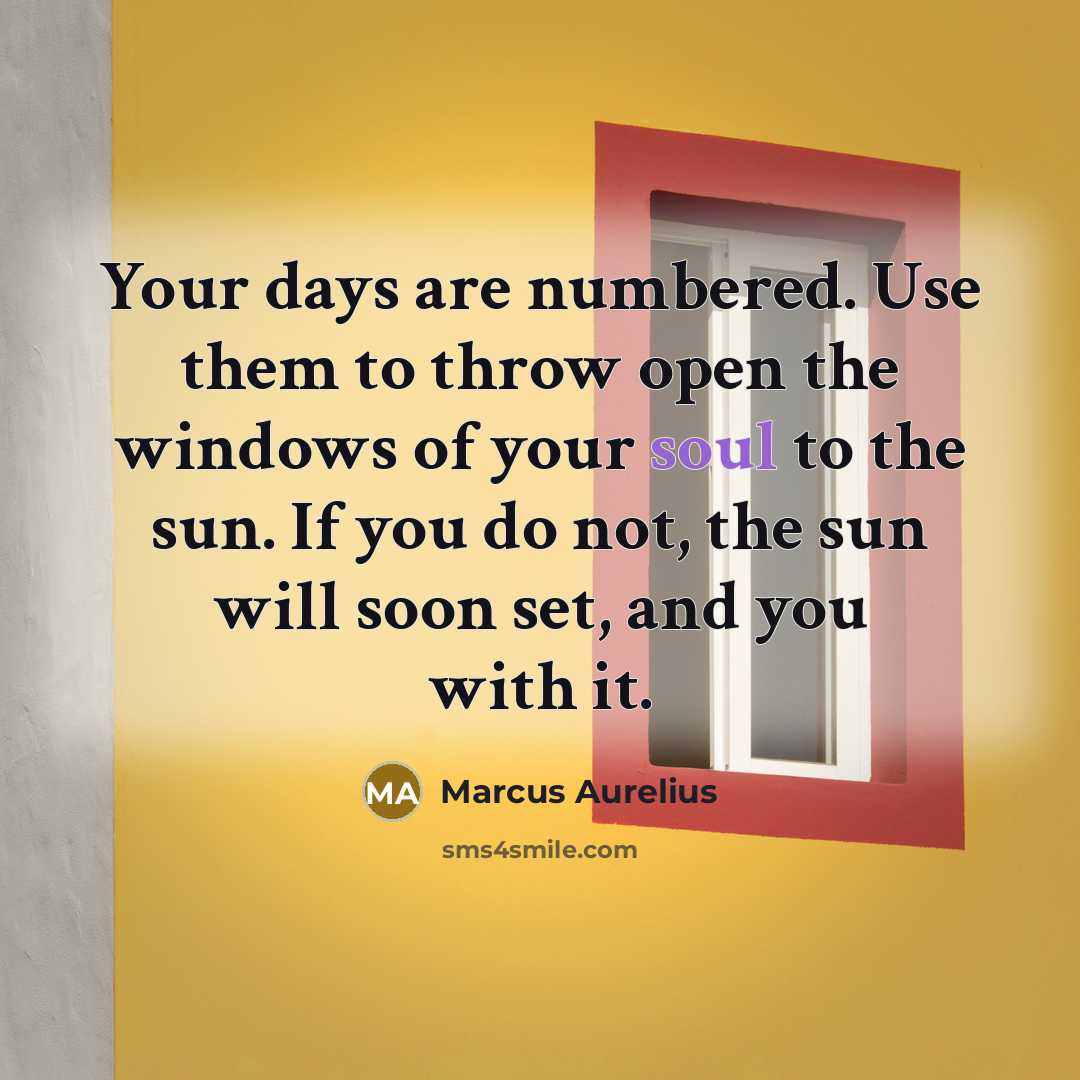 “Your days are numbered. Use them to throw open the windows of your soul to the sun. If you do not, the sun will soon set, and you with it.” quote by Marcus Aurelius