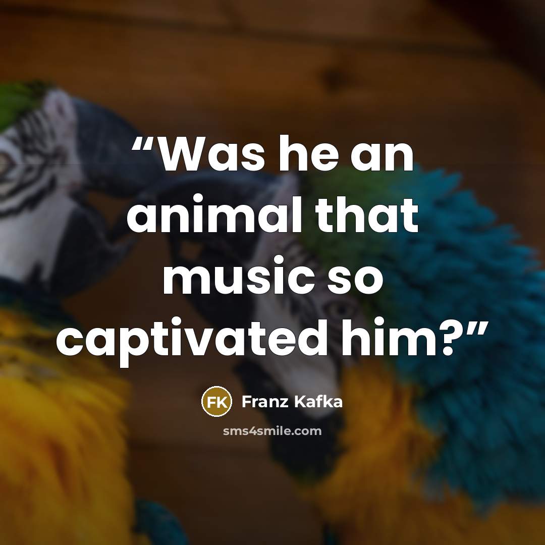 “Was he an animal that music so captivated him?” quote by Franz Kafka